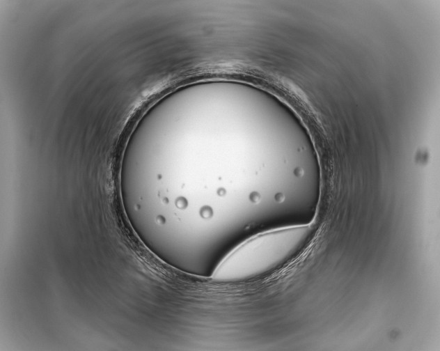 X0000099301218200805161341