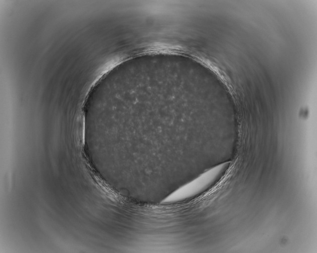 X0000099301219200805161341