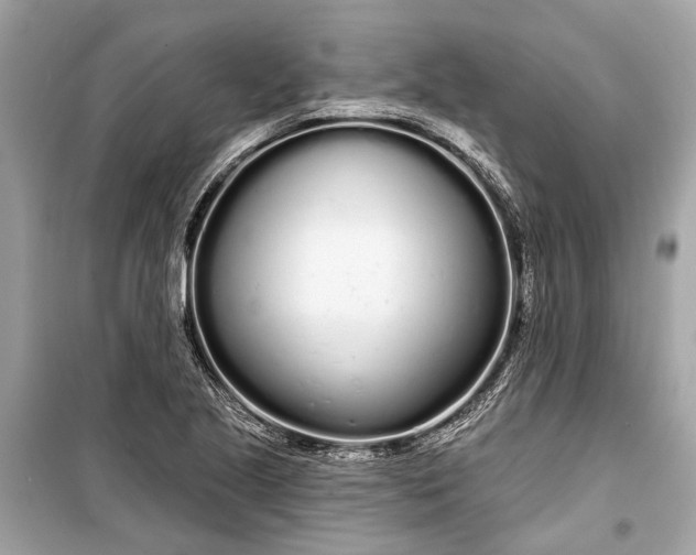 X0000099301221200805161341