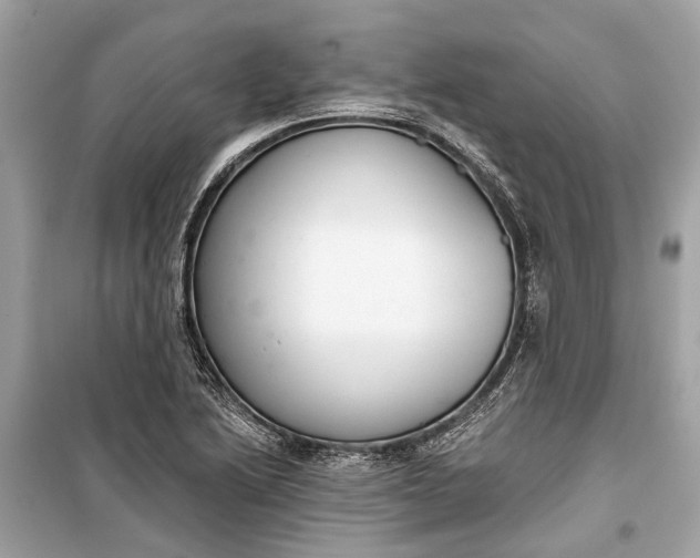 X0000099301222200805161341