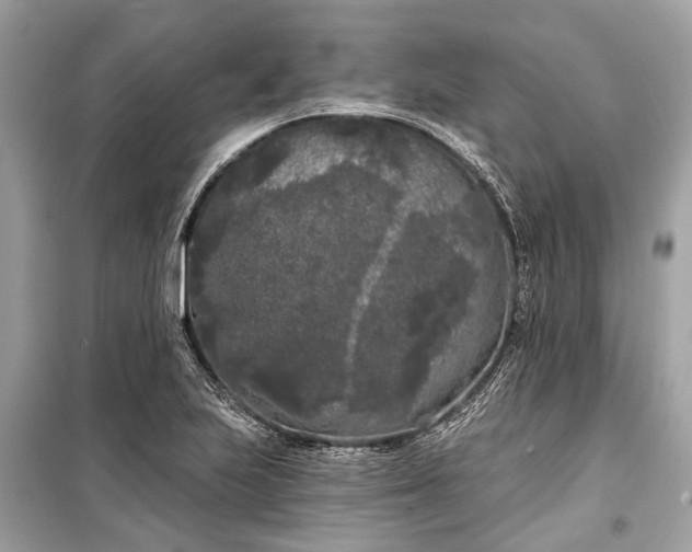 X0000099301223200805161341