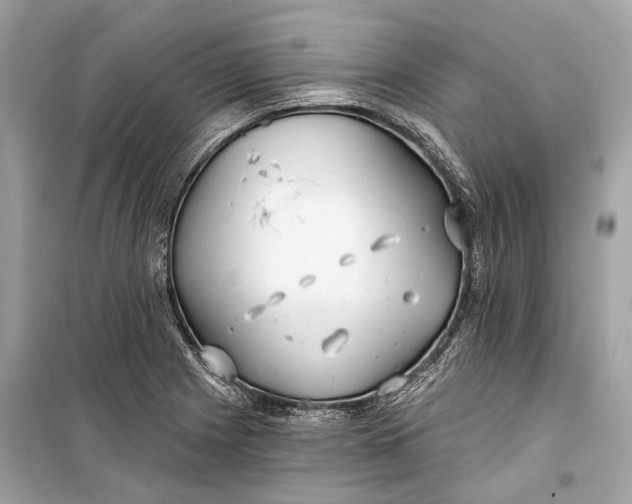 X0000099301225200805161341