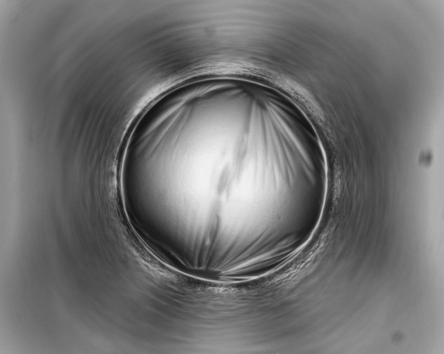 X0000099301226200805161341