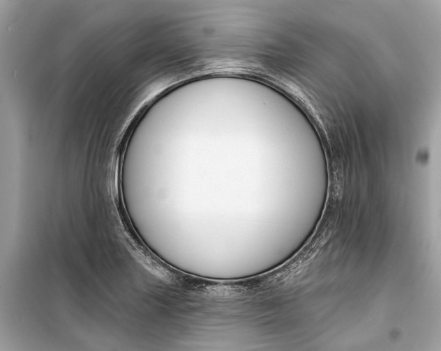 X0000099301227200805161341