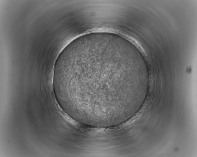 X0000099301228200805161341