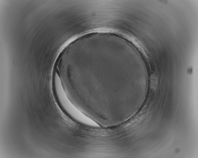 X0000099301229200805161341