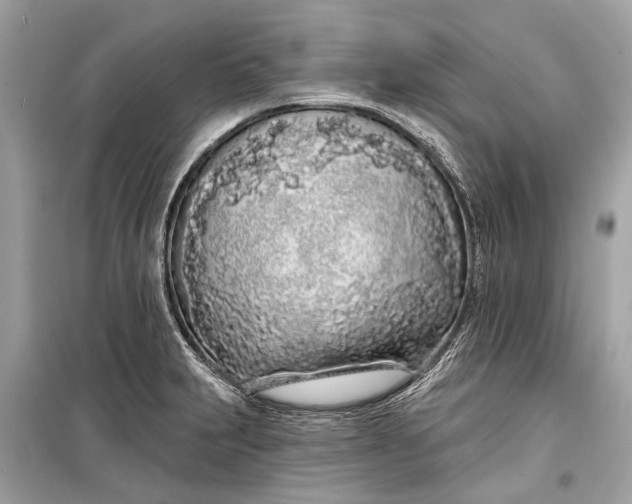 X0000099301231200805161341