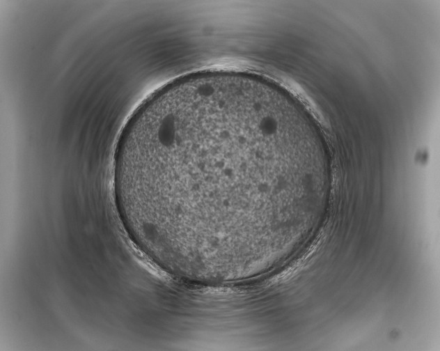 X0000099301232200805161341