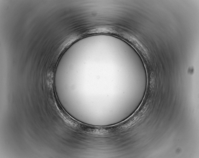 X0000099301233200805161341