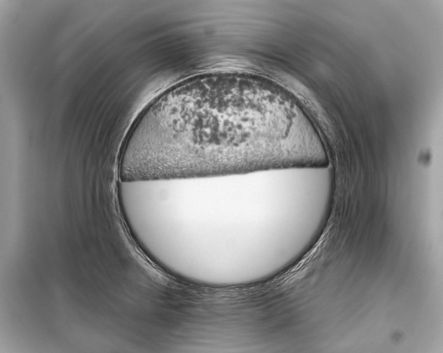 X0000099301234200805161341