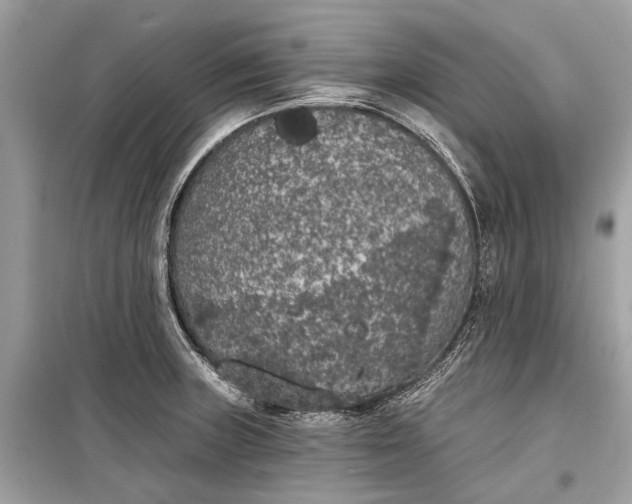 X0000099301235200805161341