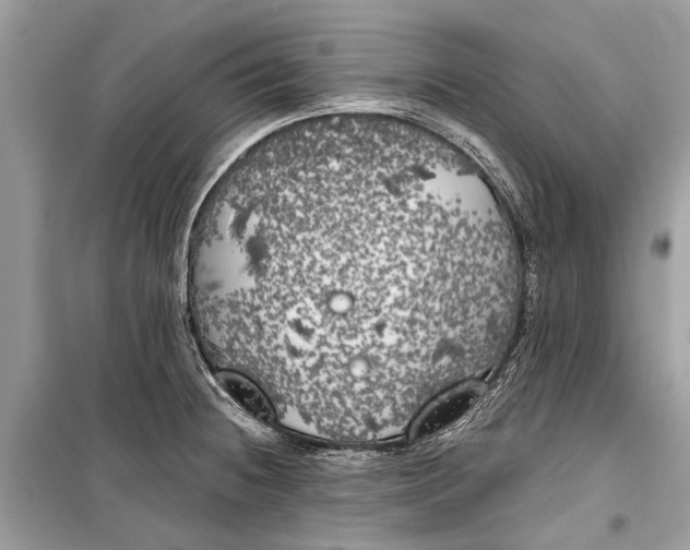 X0000099301236200805161341