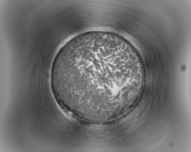 X0000099301237200805161341