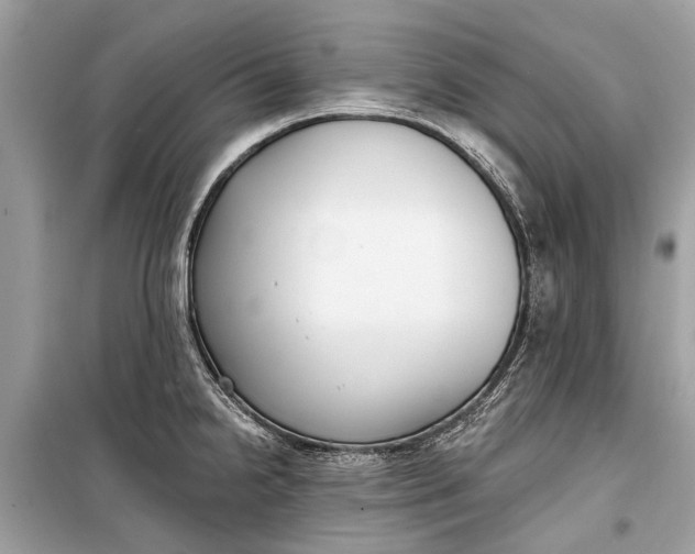 X0000099301238200805161341