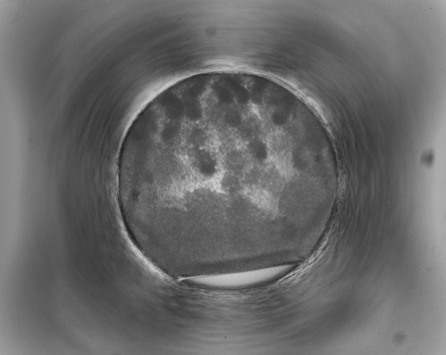 X0000099301239200805161341