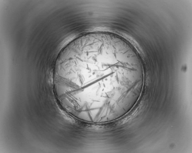 X0000099301241200805161341