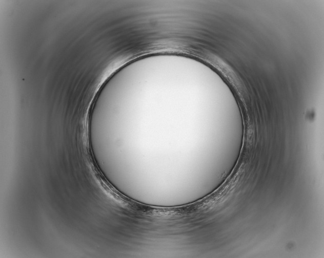 X0000099301242200805161341