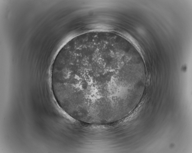 X0000099301243200805161341