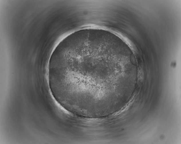 X0000099301247200805161341