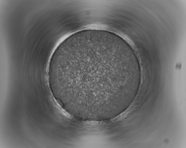 X0000099301248200805161341