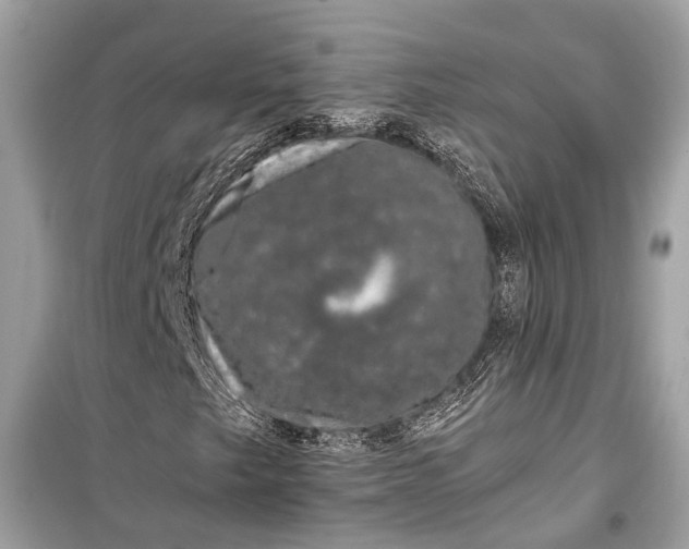 X0000099301249200805161340