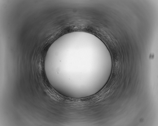 X0000099301250200805161340