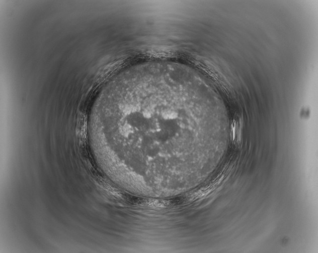 X0000099301251200805161340