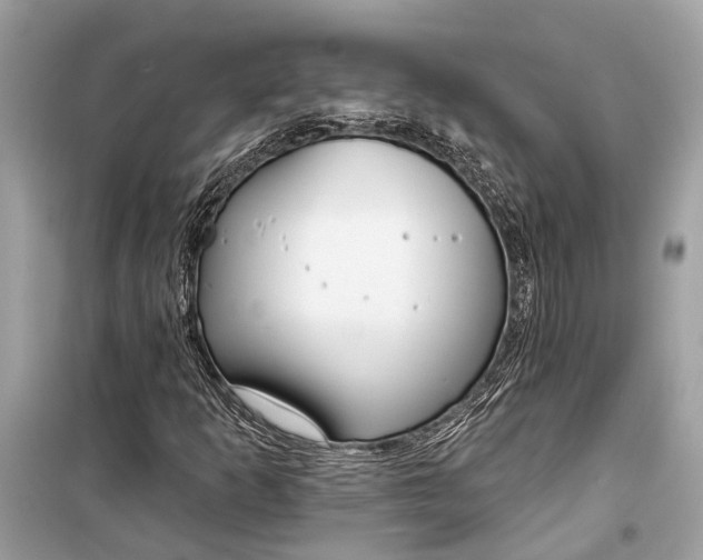 X0000099301253200805161340