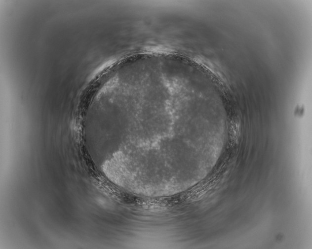 X0000099301254200805161340