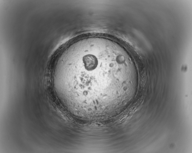 X0000099301255200805161340