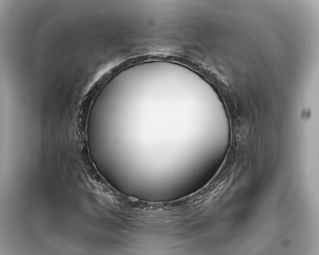 X0000099301256200805161340