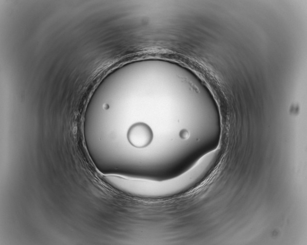 X0000099301257200805161340