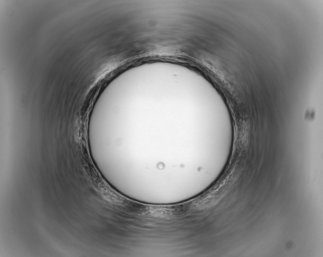 X0000099301258200805161340