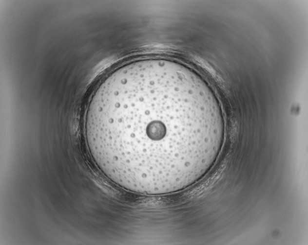 X0000099301259200805161340