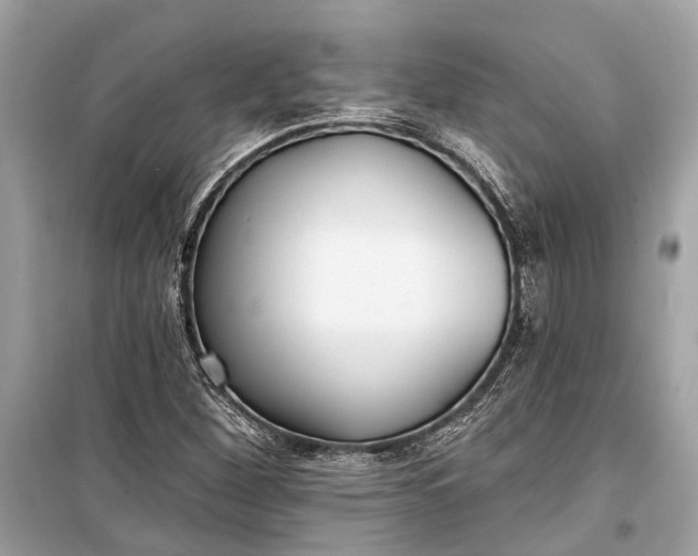 X0000099301260200805161340