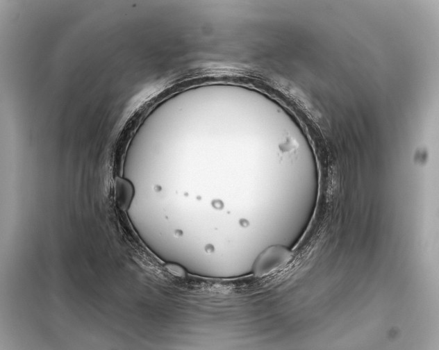 X0000099301261200805161340