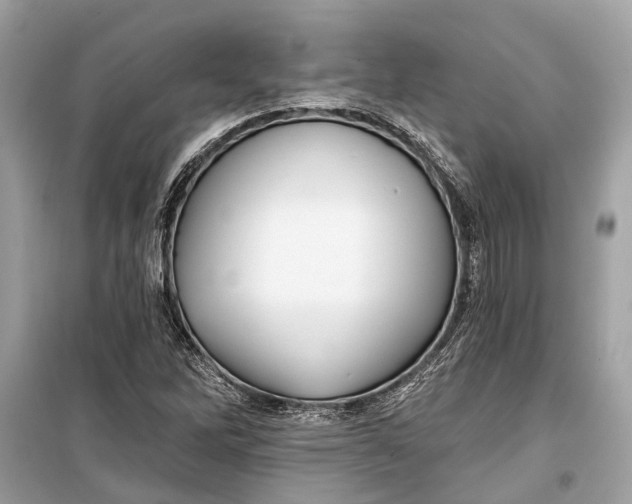 X0000099301262200805161340