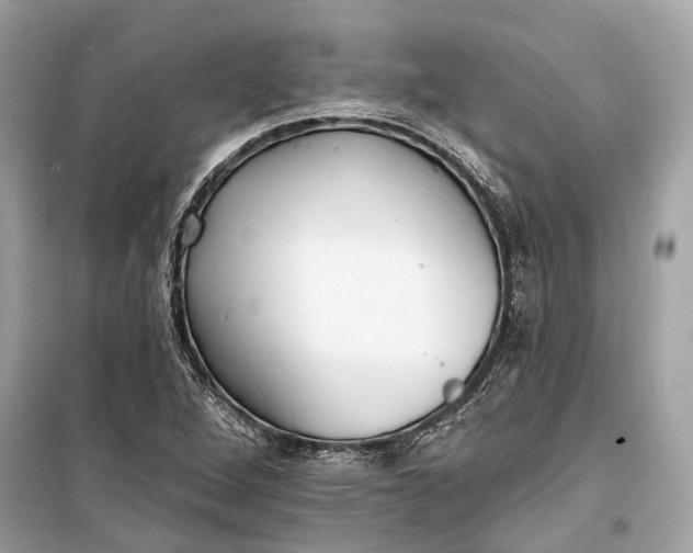 X0000099301264200805161340