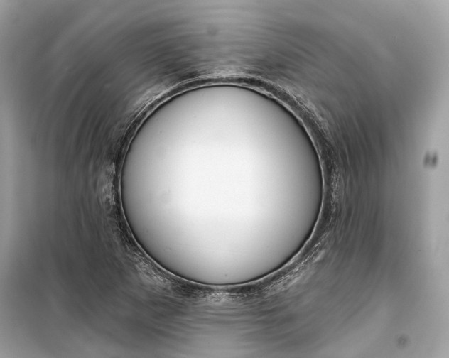 X0000099301265200805161340