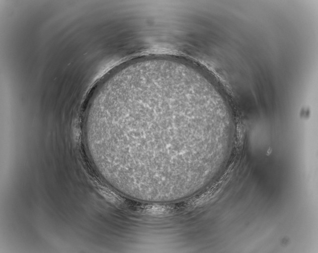 X0000099301266200805161340