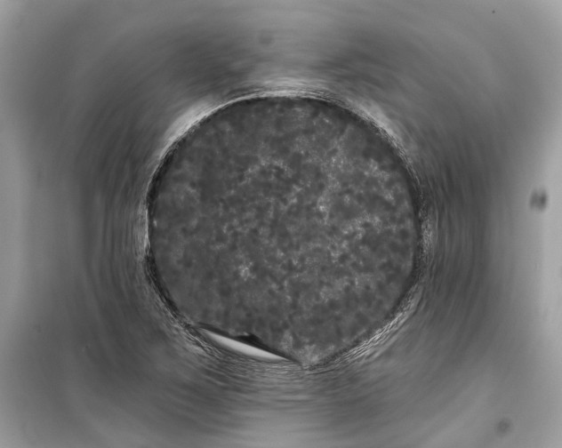 X0000099301267200805161340