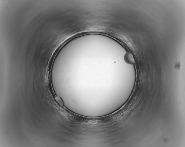 X0000099301268200805161340