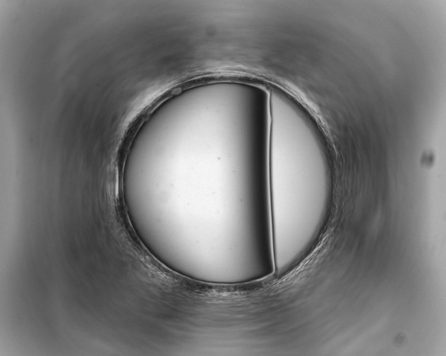 X0000099301269200805161340