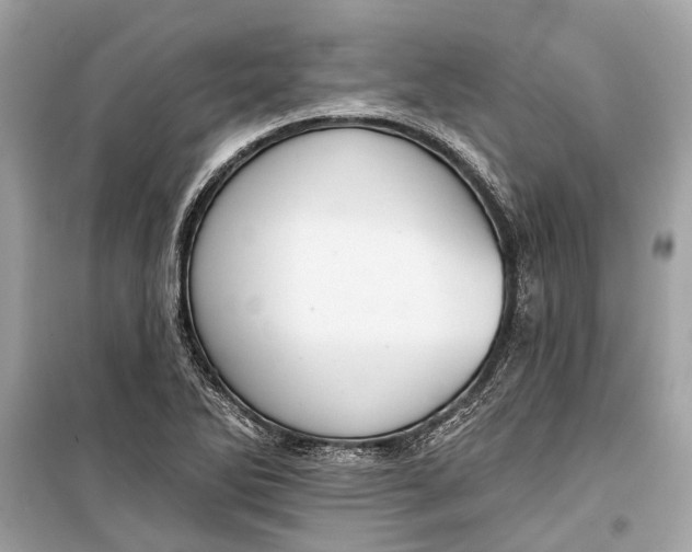 X0000099301270200805161340