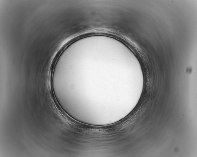 X0000099301272200805161340