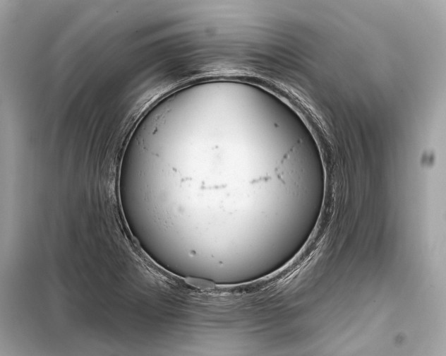 X0000099301273200805161340