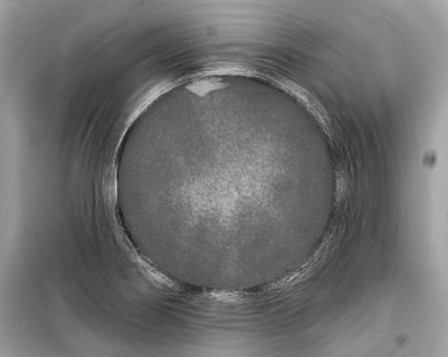 X0000099301274200805161340