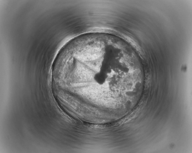 X0000099301275200805161340