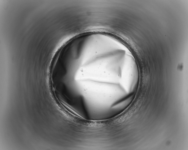 X0000099301277200805161340