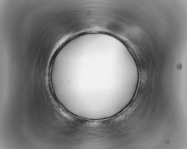 X0000099301278200805161340